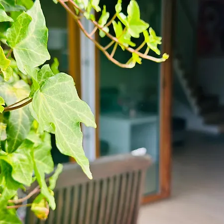 Dom Nad Jeziorem Miedwie, * Zieleniewo (Stargard)