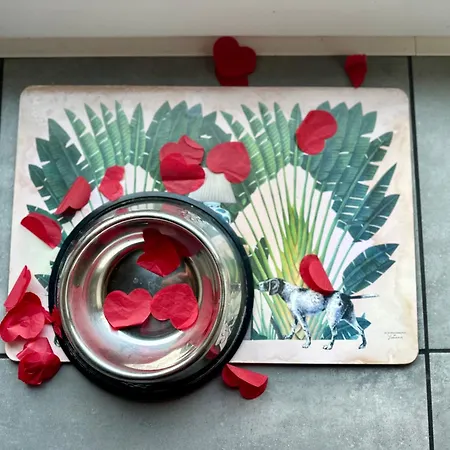 Dom Nad Jeziorem Miedwie,