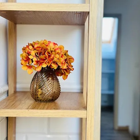 Dom Nad Jeziorem Miedwie, Zieleniewo (Stargard)